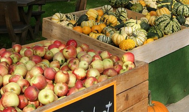 BrightBridge, local, apple, pumpkin